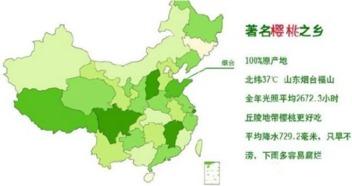 最新国产区,探索国产电影的新时代篇章